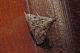 DSCN6829.JPG