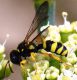 DSCN61532.jpg
