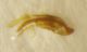 DSCN2290.JPG