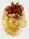 2016-10-18-10.20.20 ZS DMap1b.jpg