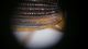 20161104_155142.jpg