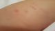rsz_1rsz_20161109_213034.jpg