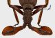 Paussus_howa_1_9.8mm_s.jpg