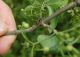 Slucia_06042014_26.jpg