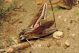 DSCN8672.JPG