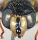 2016-12-31-17.45.50 ZS PMax.jpg