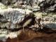 TG_Via_Settebagni_07-01-2017_TG4_015.JPG