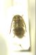 DSC02872.jpg