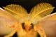 DSC_0935 s1f.jpg