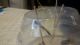 IMG-20161202-WA0001.jpg