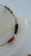 IMG-20161202-WA0003.jpg
