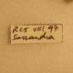 20170129_231004.min.compressed.jpg