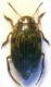 DSCN2570.JPG