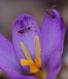 IMGP4776_y_sm.JPG