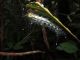 DSCN7051.JPG