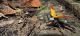 DSCN7760.JPG