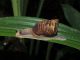 DSCN7363.JPG