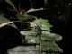 DSCN7737.JPG