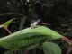 DSCN6877.JPG