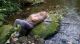 WP_20170122_14_46_35_Pro.jpg