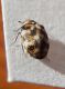 DSCN6887.JPG