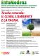 Cambiam clima e insetti.jpg