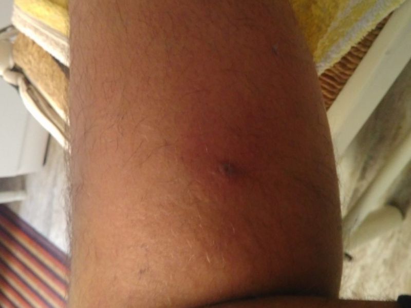 IMG_20170324_151550 (FILEminimizer)212.jpg