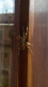 IMG_3700.PNG