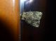 P1050089p_13apr2017.jpg