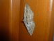 P1050106p_14apr2017.jpg