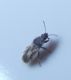 IMG-20170423-WA0005.jpg