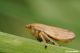 DSC_1404.jpg