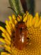 DSC_0176 Correction.jpg