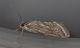 DSC_0354 Correction.jpg
