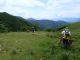 Polino_La_Pelosa_24-05-2017_TG4_016.JPG
