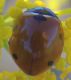 DSCN9345.JPG