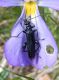 DSCN7770.JPG
