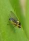 DSCN7784-001.JPG