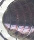 20170530_144157.jpg