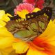 DSCF8220.JPG