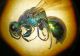 DSCF2049.JPG