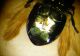 DSCF2051.JPG