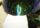 DSCF2039.JPG