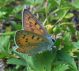 DSCN9413.JPG