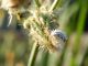 DSCN8263.JPG