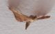 DSCF8585.JPG