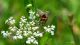 DSC_5898_06ago2017.jpg