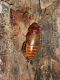 Image00148.jpg