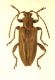 100_0183.JPG
