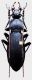 Carabus (Apotomopterus) tonkinensis yenbaiensis Deuve 2013.jpg